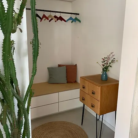Bright Loft With Large Terrace Kostnice